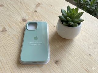 Custodia iPhone 13 Pro Max in silicone