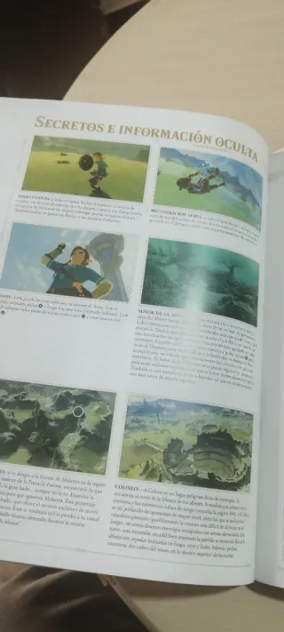 Guías Zelda BotW + TotK - Nintendo Switch