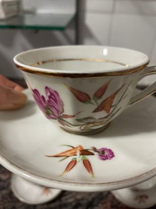 Juego de café antiguo porcelana flores