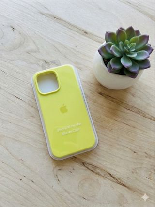 Custodia iPhone 16 Pro Max