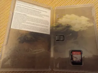 Brigandine The Legend of Runersia Switch