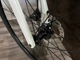 BERRIA BELADOR ELITE 105 2026