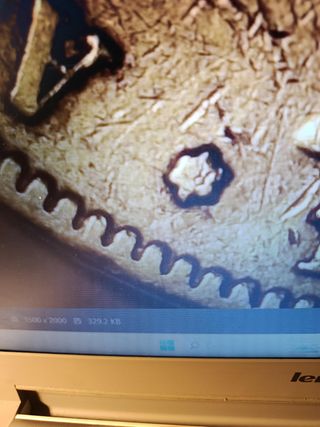 Moneda 5 Ptas plata Rey Alfonso XII 1877