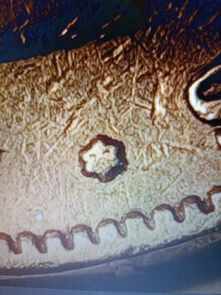 Moneda 5 Ptas plata Rey Alfonso XII 1877