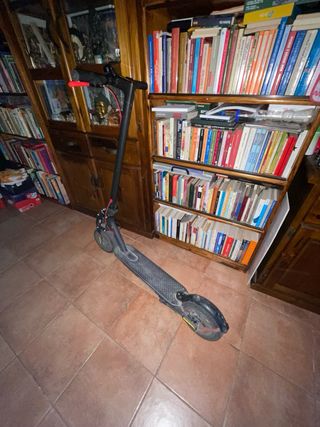 Patinete eléctrico Xiaomi Pro 1