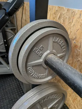 Lote Discos olimpicos 115 kg de hierro fundido