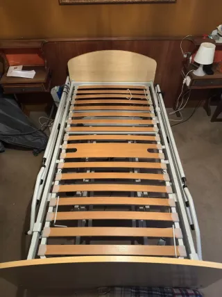 Cama articulada eléctrica