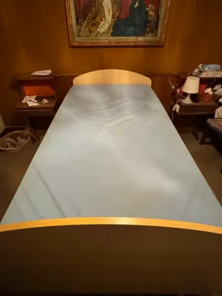 Cama articulada eléctrica