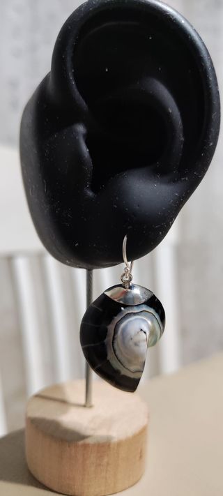 Pendiente Plata Ley Diseño Concha