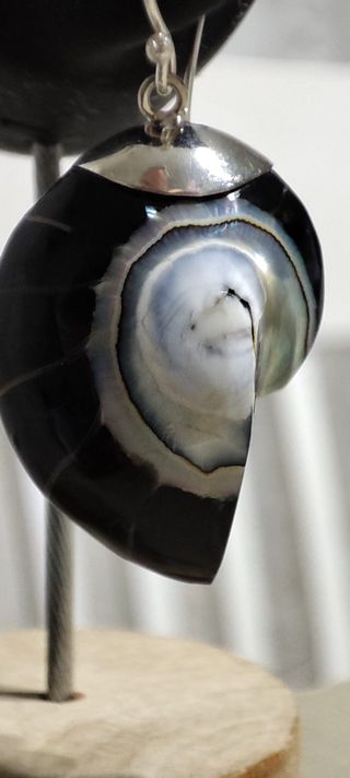 Pendiente Plata Ley Diseño Concha