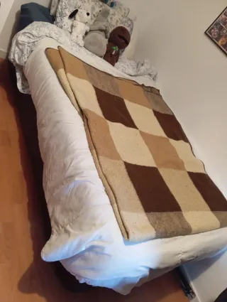 Canapé abatible madera y colchón