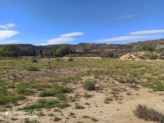 Alquiler parcela rústica en Peña Aguilas