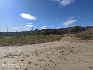 Alquiler parcela rústica en Peña Aguilas