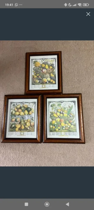 Lote 3 cuadros de frutas