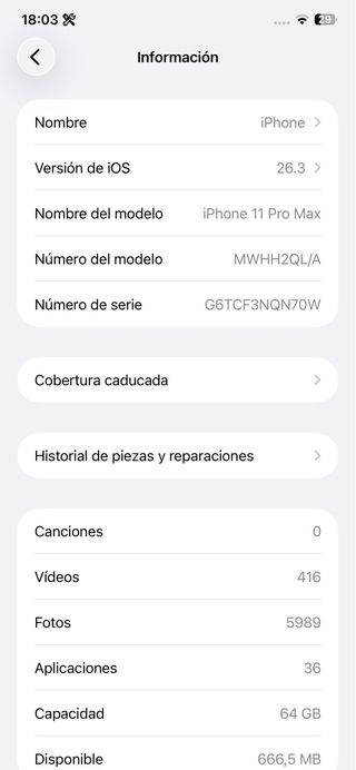 iPhone 11 Pro Max Verde/Grigio Siderale