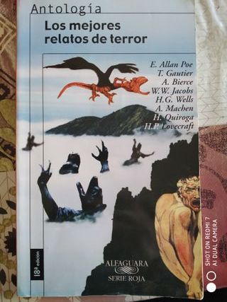 LOTE DE LIBROS JUVENILES /o sueltos a partir de 2€