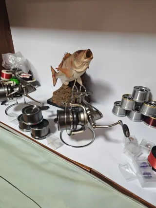 Carrete Shimano Fliegen 2009