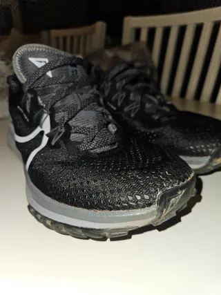 Nike Pegasus Trail 4 Negro/Gris