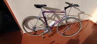 Bicicleta Vitus Morada