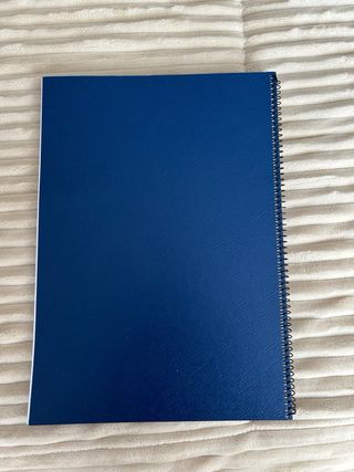 Dificultades del Aprendizaje Carmen Vacas Díaz