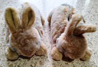 Zapatillas Conejo Peluche Beige y Marrón