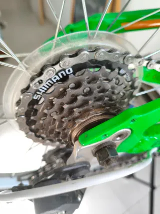 Bicicleta Infantil WRC Invader 20 Verde