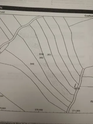 Finca Rústica La Coronada 7.500 m²