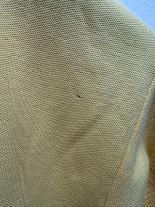 Polo Ralph Lauren Uomo Gialla Cotone Manica Corta