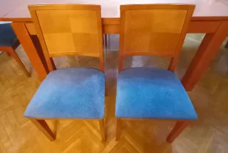 Mesa de salón con 6 sillas tapizadas