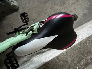 Bicicleta Infantil Anakon 20 Mint