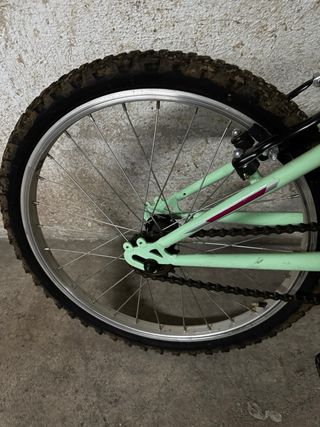 Bicicleta Infantil Anakon 20 Mint