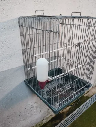 Jaula grande para loro