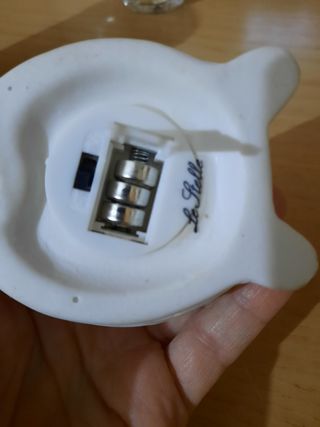 Lucina lumaca in ceramica