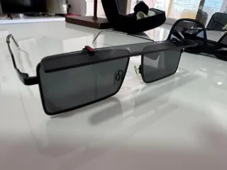 Gafas de sol Emporio Armani EA 2111