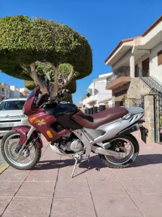 APRILIA PEGASO 650 A2