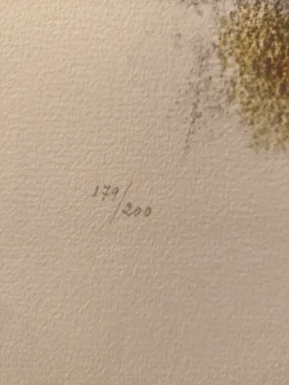 Litografía Modest Cuixart Firmada