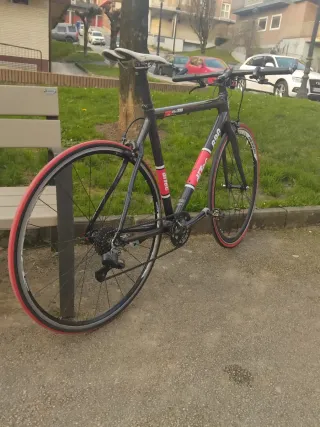 Bicicleta Ditec Carbono 890