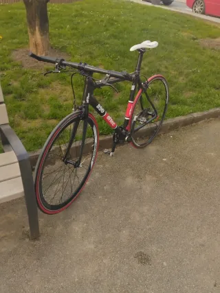 Bicicleta Ditec Carbono 890