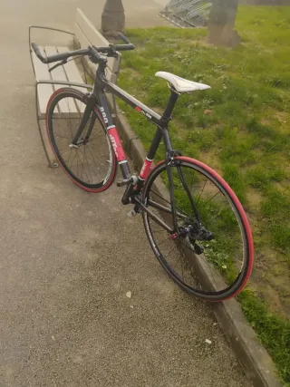 Bicicleta Ditec Carbono 890