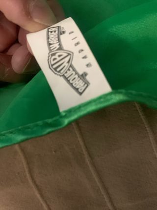 Disfraz Linterna Verde. WARNER BROSS