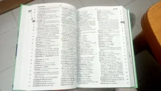 Diccionario Manual Griego. Griego clásico-Españ...