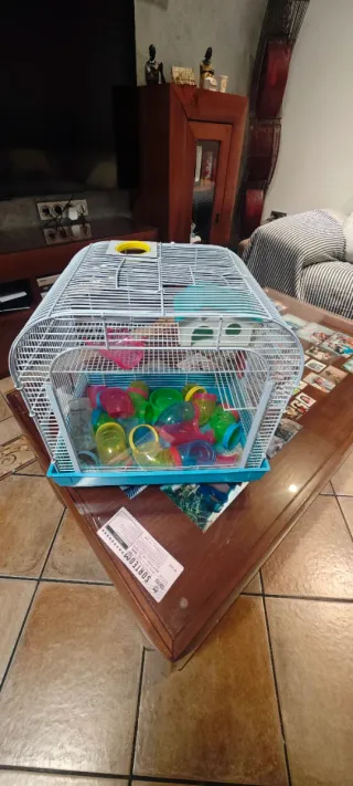 Jaula Hámster Casi Nueva