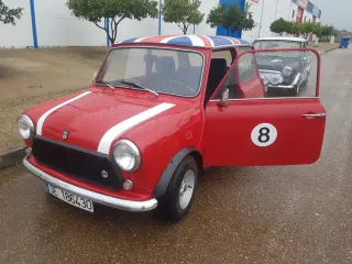 MINI 850