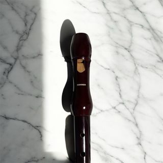 Flauta Dulce Madera Marrón con Funda