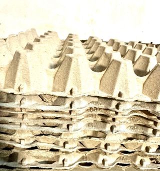 Hueveras grandes de cartón