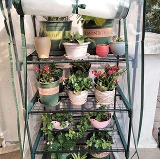 Invernadero PVC 4 baldas 165x70x50