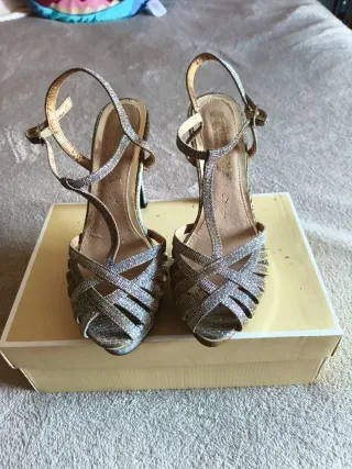 Zapatos de fiesta dorados y plateados