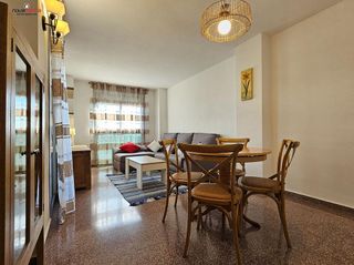 Piso en alquiler en Alcalde Felipe Mallol en San Vicente del Raspeig/Sant Vicent del Raspeig