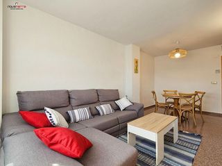 Piso en alquiler en Alcalde Felipe Mallol en San Vicente del Raspeig/Sant Vicent del Raspeig