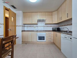 Piso en alquiler en Alcalde Felipe Mallol en San Vicente del Raspeig/Sant Vicent del Raspeig